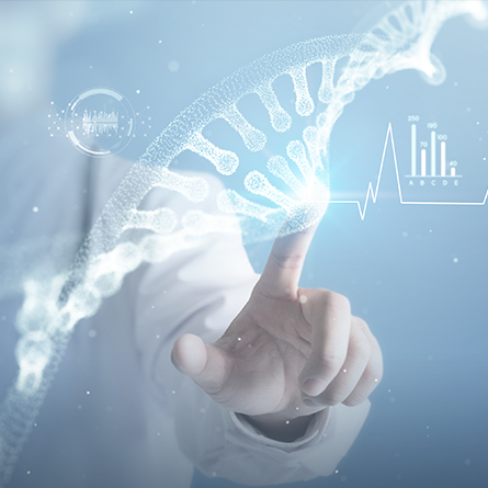 威廉希尔williamhill官方网站